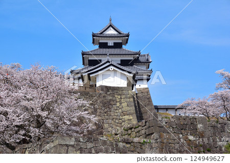 櫻井白川小峰城 124949627