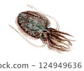 Hand-drawn watercolor painting of a lightning-quid or a squid 124949636