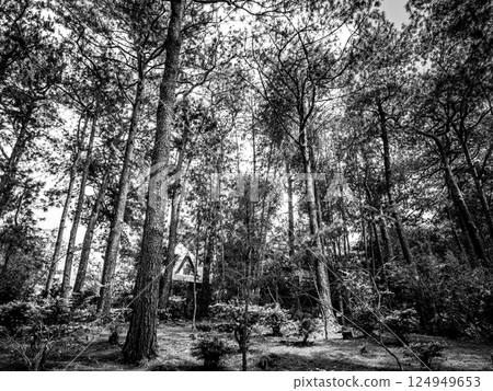 Marinole Ecological Nature Reserve Marinole Ecological Nature Reserve 124949653