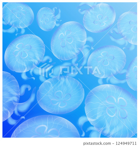 月亮水母_淺藍色 月亮水母_淺藍色 124949711