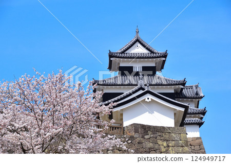 Spring Cherry Blossoms Shirakawa Komine Castle Spring Cherry Blossoms Shirakawa Komine Castle 124949717