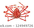 Hand-drawn watercolor painting of spider crab 124949726