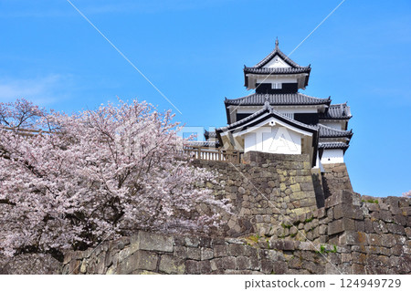 Spring Cherry Blossoms Shirakawa Komine Castle Spring Cherry Blossoms Shirakawa Komine Castle 124949729