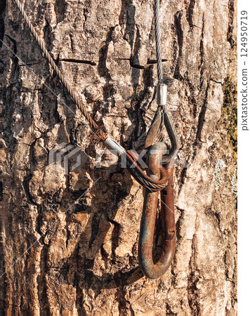 Macro view tree with metal. Analog feeling. 124950719