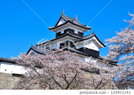 春天的櫻花 白川小峰城 124951241