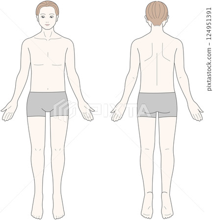 從正面和背面看男性身體 124951391