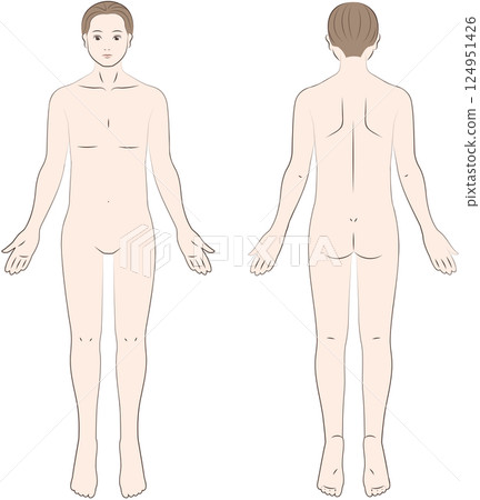 Male body seen from the front and back Male body seen from the front and back 124951426