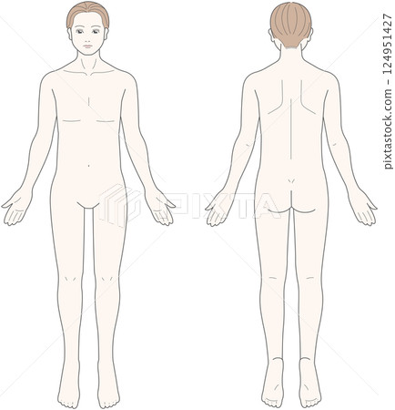 Male body seen from the front and back Male body seen from the front and back 124951427