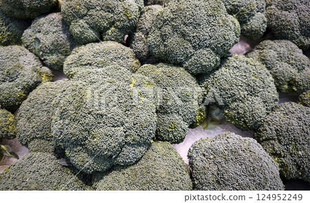 Broccoli or Brassica oleracea vegetable pile Broccoli or Brassica oleracea vegetable pile 124952249