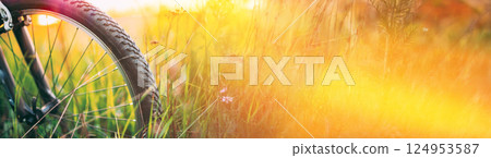 Bicycle Wheel In The Summer Green Grass Meadow Field 124953587