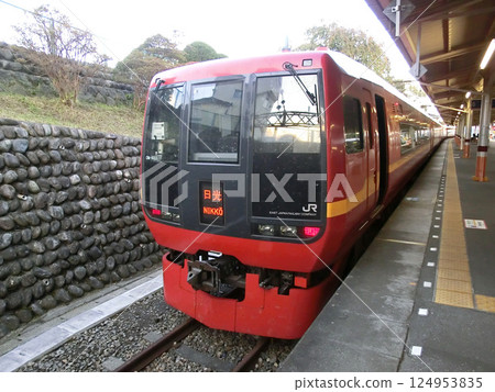 JR Express Nikko (253 series) at Tobu Nikko Station (Nikko City, Tochigi Prefecture) JR Express Nikko (253 series) at Tobu Nikko Station (Nikko City, Tochigi Prefecture) 124953835