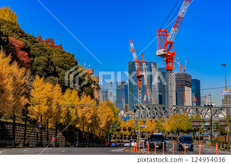 Autumn leaves near Shin-Yatsuyama Bridge in Kita-Shinagawa, Shinagawa Ward, Tokyo 124954036