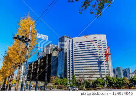 Autumn leaves near Shin-Yatsuyama Bridge in Kita-Shinagawa, Shinagawa Ward, Tokyo Autumn leaves near Shin-Yatsuyama Bridge in Kita-Shinagawa, Shinagawa Ward, Tokyo 124954046