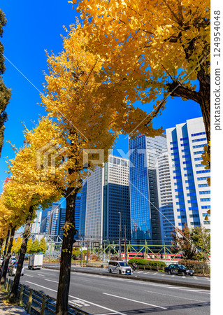 Autumn leaves near Shin-Yatsuyama Bridge in Kita-Shinagawa, Shinagawa Ward, Tokyo 124954048