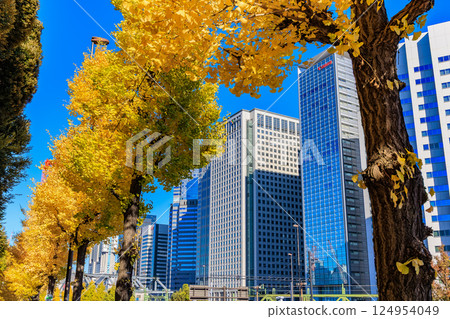 東京品川區北品川新八山橋附近的秋葉 東京品川區北品川新八山橋附近的秋葉 124954049