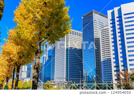 Autumn leaves near Shin-Yatsuyama Bridge in Kita-Shinagawa, Shinagawa Ward, Tokyo 124954050