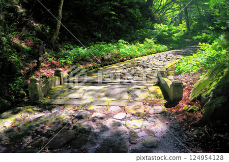 The Chugoku region, Daisen-Oki National Park, the approach to the inner shrine of Ogamiyama Shrine, an unnamed bridge with the Diamond Sutra carved on the back, Daisen Town, Tottori Prefecture (1) 124954128