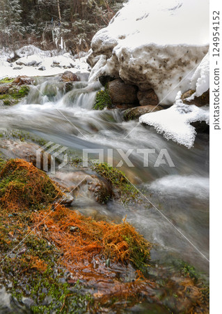Snow fall in the mountain in winter season. 124954152