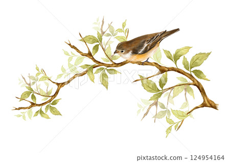 Cute little bird sit on branch with green leaves. Hand drawn illustration. 124954164