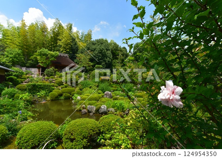 Garden and teahouse at Toji-in Temple, Kyoto, Seiren-tei Garden and teahouse at Toji-in Temple, Kyoto, Seiren-tei 124954350