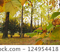 秋天的樹葉 124954418