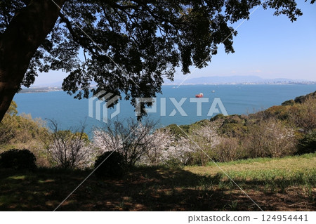 從能古島的樹蔭下眺望博多灣 從能古島的樹蔭下眺望博多灣 124954441