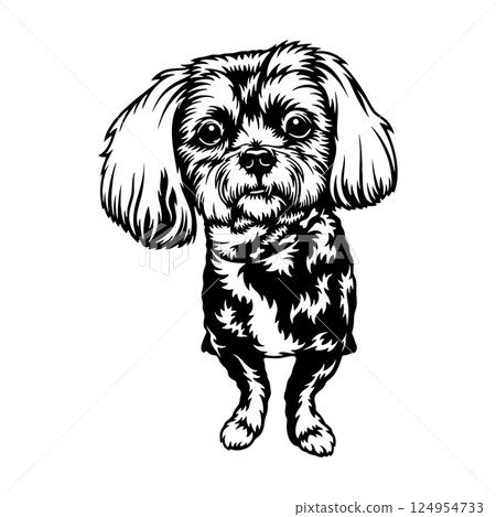 Shih Tzu Dog Breed - Pet Vector Cut file, Dog Silhouette Stencil - Cricut file Shih Tzu Dog Breed - Pet Vector Cut file, Dog Silhouette Stencil - Cricut file 124954733
