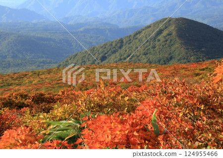 栗駒山的紅葉（東栗駒路線 / 岩壁平～東栗駒山） 124955466