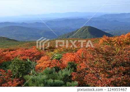Autumn foliage on Mt. Kurikoma (Higashi-Kurikoma Course / From Iwakagamidaira to Mt. Higashi-Kurikoma) 124955467