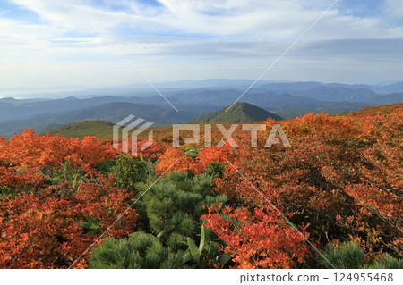 栗駒山的紅葉（東栗駒路線 / 岩壁平～東栗駒山） 124955468