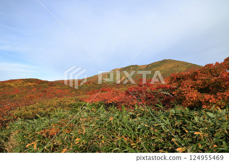 栗駒山的紅葉（東栗駒路線 / 岩壁平～東栗駒山） 124955469