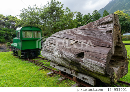 屋久島屋久杉自然博物館外的一輛手推車 124955901