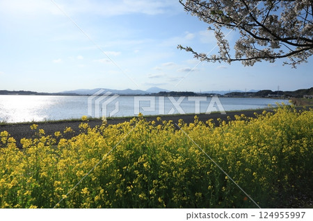 茨城縣霞浦湖和筑波山的壯麗景色 茨城縣霞浦湖和筑波山的壯麗景色 124955997