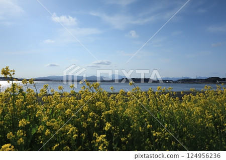 美麗的春天風景筑波山和霞浦湖 美麗的春天風景筑波山和霞浦湖 124956236