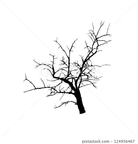 Silhouette Bare Branch Without Leaves. Fragment of Winter Tree Vector Silhouette Bare Branch Without Leaves. Fragment of Winter Tree Vector 124956467
