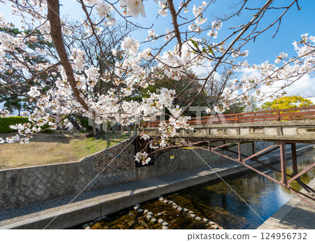 兵庫縣西宮市春季宿川公園河添橋 兵庫縣西宮市春季宿川公園河添橋 124956732