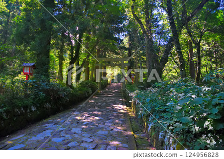 鳥居矗立在鳥取縣大仙町中國地方大仙隱岐國立公園大神山神社內宮的參道上（1） 124956828