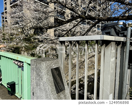 Cherry blossoms around Omokagebashi Bridge on the Kanda River Cherry blossoms around Omokagebashi Bridge on the Kanda River 124956898