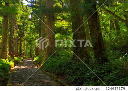 中國地方、大山隱岐國立公園、大神山神社奧宮、據說是日本最長的石板路參拜道、鳥取縣大仙町(3) 中國地方、大山隱岐國立公園、大神山神社奧宮、據說是日本最長的石板路參拜道、鳥取縣大仙町(3) 124957179