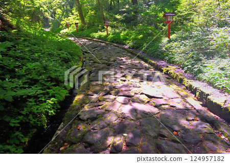 Scenery of the longest stone-paved approach to the inner shrine of Ogamiyama Shrine in Daisen-Oki National Park, Chugoku region, Daisen Town, Tottori Prefecture (1) Scenery of the longest stone-paved approach to the inner shrine of Ogamiyama Shrine in Daisen-Oki National Park, Chugoku region, Daisen Town, Tottori Prefecture (1) 124957182