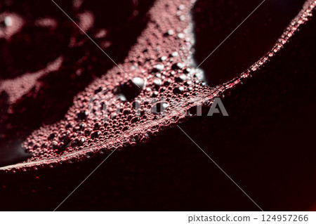 Red wine in glass. 124957266