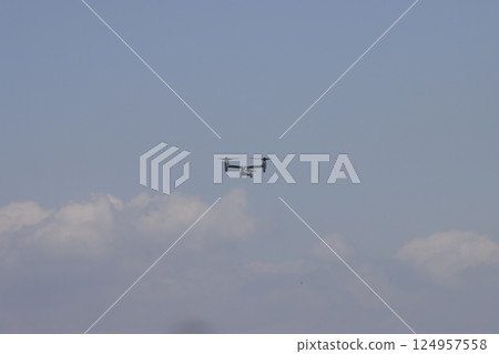 Osprey flying in the sky Osprey flying in the sky 124957558