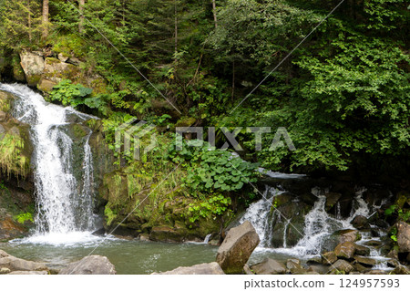 Mountain waterfall in the forest. Green nature. 124957593