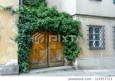Old wooden gate with lush foliage. City street. 124957723