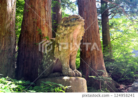 Chugoku region, Daisen-Oki National Park, Ogamiyama Shrine Okumiya, giant lion guarding the main hall behind the rear-facing gate, Daisen Town, Tottori Prefecture (1) Chugoku region, Daisen-Oki National Park, Ogamiyama Shrine Okumiya, giant lion guarding the main hall behind the rear-facing gate, Daisen Town, Tottori Prefecture (1) 124958241