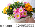 春天的花朵，室內 124958533