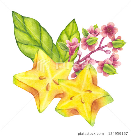 Yellow carambola fruit slices with blooming tree branch, green leaf foliage. Watercolor starfruit. Botanical exotic star apple Bilimbi. Hand drawn illustration isolated on white background. For menu 124959167