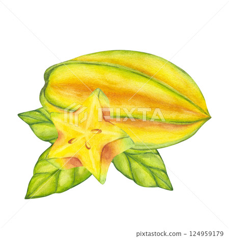 Watercolor starfruit. Averrhoa carambola or Bilimbi. Whole yellow fruit and slices with green leaf foliage. Botanical exotic star apple. Hand drawn illustration isolated on white background. For menu 124959179