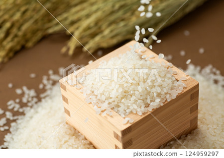 White rice 124959297