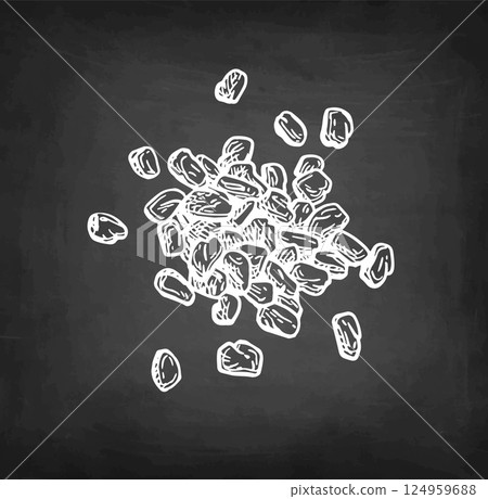 Fenugreek seeds chalk sketch Fenugreek seeds chalk sketch 124959688